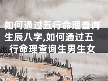 如何通过五行命理查询生辰八字,如何通过五行命理查询生男生女