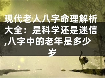 现代老人八字命理解析大全：是科学还是迷信,八字中的老年是多少岁