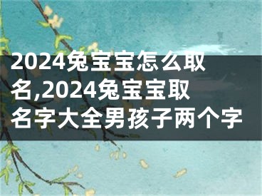 2024兔宝宝怎么取名,2024兔宝宝取名字大全男孩子两个字