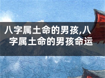 八字属土命的男孩,八字属土命的男孩命运