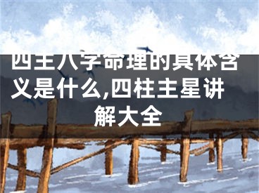 四主八字命理的具体含义是什么,四柱主星讲解大全