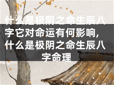 什么是极阴之命生辰八字它对命运有何影响,什么是极阴之命生辰八字命理