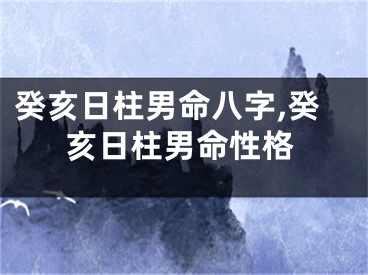癸亥日柱男命八字,癸亥日柱男命性格