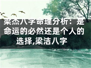 梁杰八字命理分析：是命运的必然还是个人的选择,梁洁八字