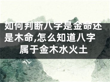 如何判断八字是金命还是木命,怎么知道八字属于金木水火土