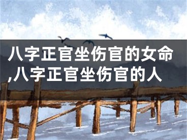 八字正官坐伤官的女命,八字正官坐伤官的人