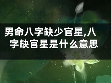 男命八字缺少官星,八字缺官星是什么意思