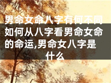 男命女命八字有何不同如何从八字看男命女命的命运,男命女八字是什么
