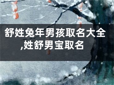 舒姓兔年男孩取名大全,姓舒男宝取名