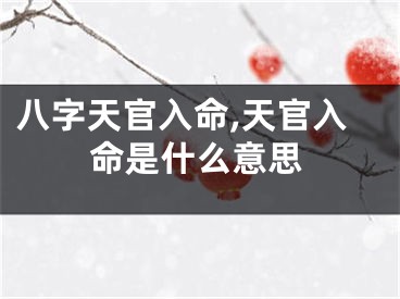 八字天官入命,天官入命是什么意思