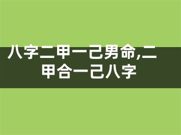 八字二甲一己男命,二甲合一己八字
