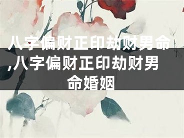 八字偏财正印劫财男命,八字偏财正印劫财男命婚姻