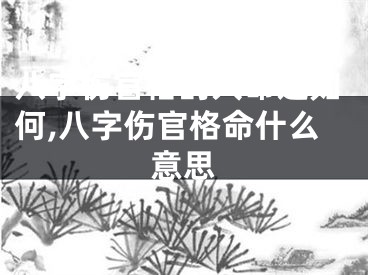八字伤官格的人命运如何,八字伤官格命什么意思