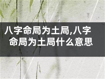 八字命局为土局,八字命局为土局什么意思