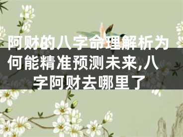 阿财的八字命理解析为何能精准预测未来,八字阿财去哪里了