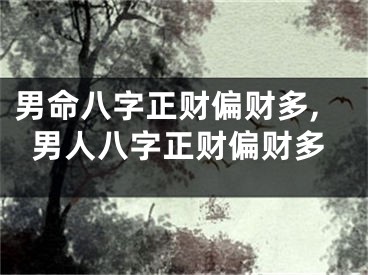 男命八字正财偏财多,男人八字正财偏财多