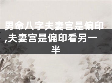 男命八字夫妻宫是偏印,夫妻宫是偏印看另一半