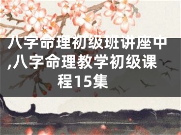 八字命理初级班讲座中,八字命理教学初级课程15集