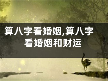 算八字看婚姻,算八字看婚姻和财运