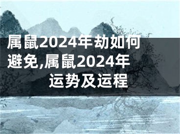 属鼠2024年劫如何避免,属鼠2024年运势及运程