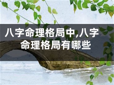 八字命理格局中,八字命理格局有哪些