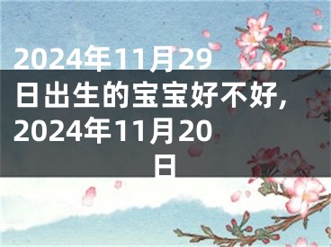2024年11月29日出生的宝宝好不好,2024年11月20日