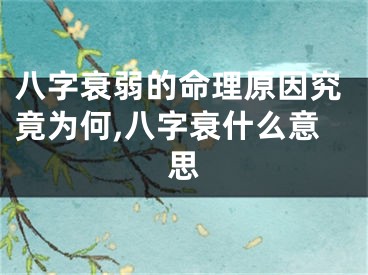 八字衰弱的命理原因究竟为何,八字衰什么意思