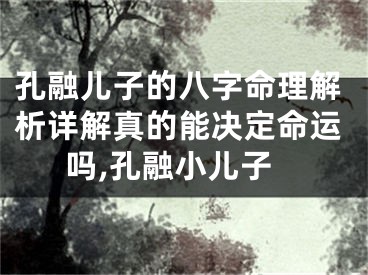 孔融儿子的八字命理解析详解真的能决定命运吗,孔融小儿子