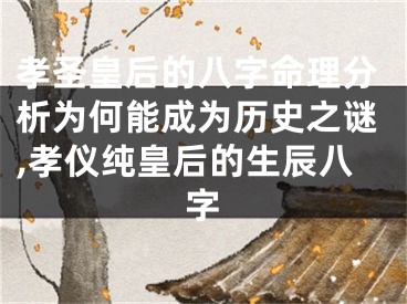 孝圣皇后的八字命理分析为何能成为历史之谜,孝仪纯皇后的生辰八字