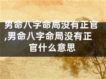 男命八字命局没有正官,男命八字命局没有正官什么意思