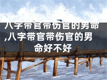 八字带官带伤官的男命,八字带官带伤官的男命好不好