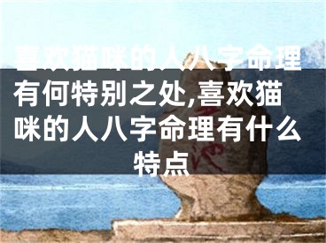 喜欢猫咪的人八字命理有何特别之处,喜欢猫咪的人八字命理有什么特点