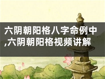 六阴朝阳格八字命例中,六阴朝阳格视频讲解