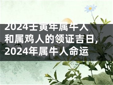 2024壬寅年属牛人和属鸡人的领证吉日,2024年属牛人命运