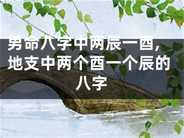 男命八字中两辰一酉,地支中两个酉一个辰的八字