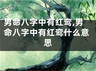 男命八字中有红鸾,男命八字中有红鸾什么意思