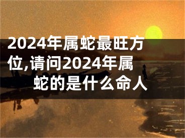 2024年属蛇最旺方位,请问2024年属蛇的是什么命人