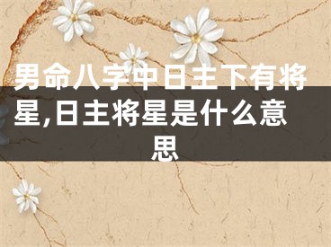 男命八字中日主下有将星,日主将星是什么意思