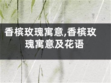香槟玫瑰寓意,香槟玫瑰寓意及花语