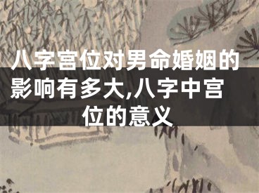 八字宫位对男命婚姻的影响有多大,八字中宫位的意义