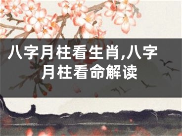八字月柱看生肖,八字月柱看命解读