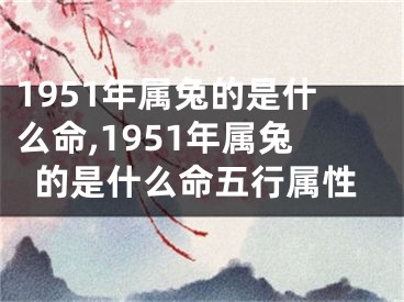 1951年属兔的是什么命,1951年属兔的是什么命五行属性