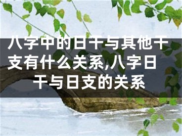 八字中的日干与其他干支有什么关系,八字日干与日支的关系