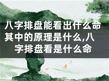 八字排盘能看出什么命其中的原理是什么,八字排盘看是什么命