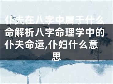 仆夫在八字中属于什么命解析八字命理学中的仆夫命运,仆妇什么意思