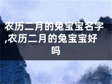 农历二月的兔宝宝名字,农历二月的兔宝宝好吗