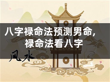 八字禄命法预测男命,禄命法看八字