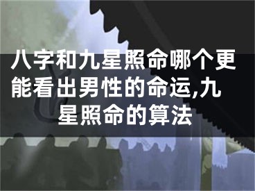 八字和九星照命哪个更能看出男性的命运,九星照命的算法