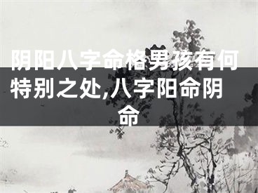 阴阳八字命格男孩有何特别之处,八字阳命阴命
