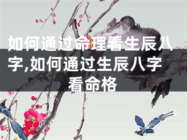 如何通过命理看生辰八字,如何通过生辰八字看命格